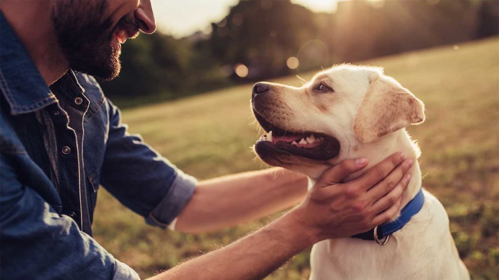 A man with Beard and His Dog - Thors Therapy