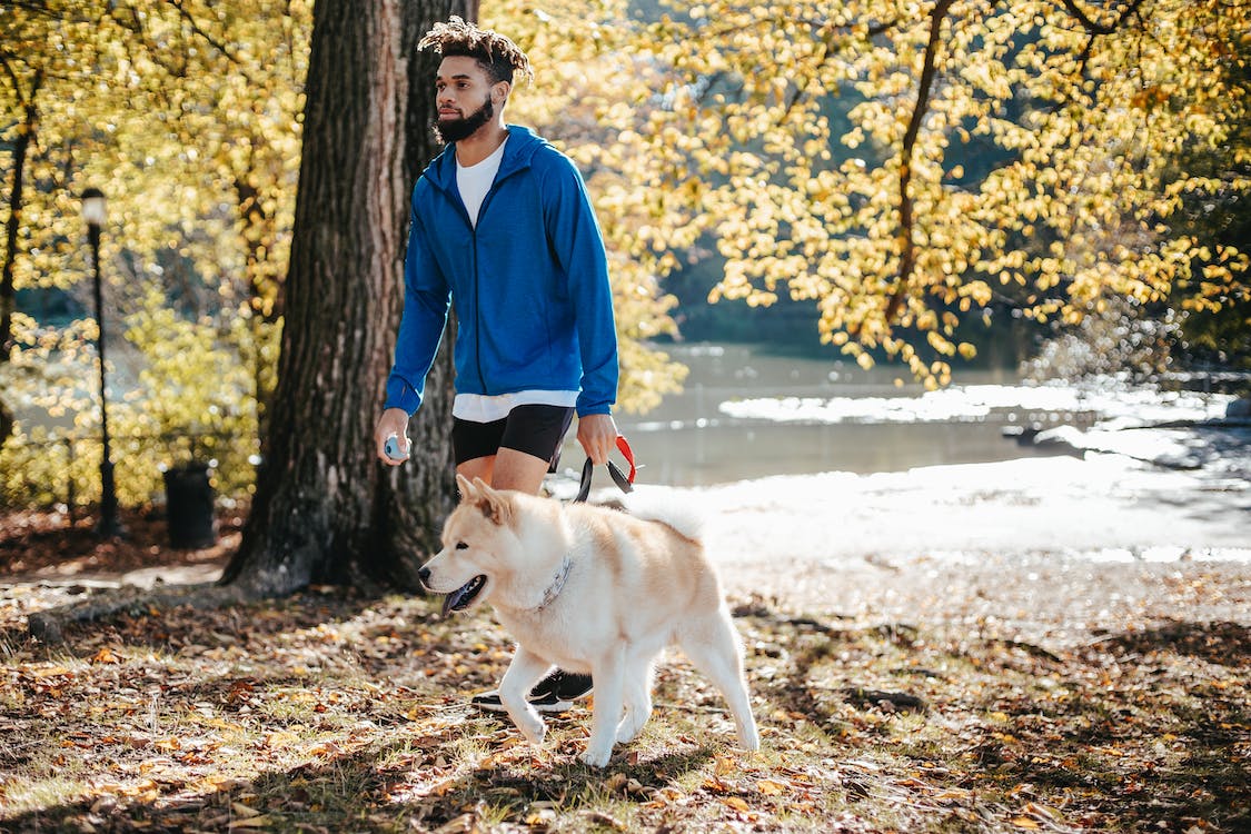 a man walking his dog through the woods